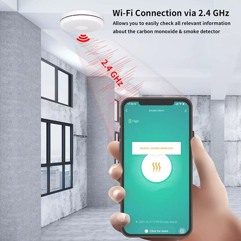 Wifi Smart Smoke Detector 2 In 1