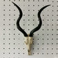 Resin Sheep Skull Wall Hanging Horn Wall Decoration