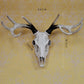 Resin Sheep Skull Wall Hanging Horn Wall Decoration