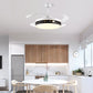 Simple One Restaurant Household Ceiling Fan Lighting Ceiling