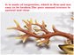 28 Inch Sculptured Good Fortune Deer Crystal Wall Lamp