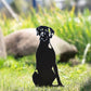 Metal Dog Silhouette Garden Yard Decoration