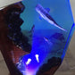 Creative Whale Diver Scenic Ocean Landscape Lamp