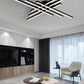 Modern Simple Living Room Lamp Ceiling Lamp