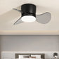 Mini Indoor Ceiling Fan Light 22 Inches