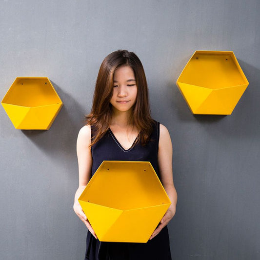 Hexagonal shelf | Decor Gifts and More