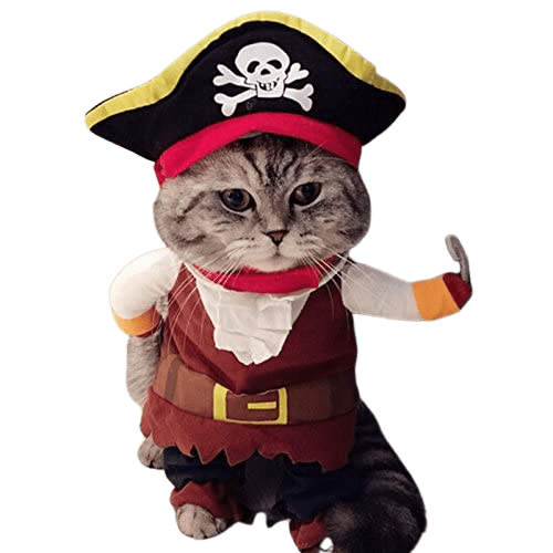 Pirate Cat Party Apparel With Hat - Home Decor Gifts and More