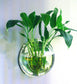 Wall Hanging Fsh Tank Vase Hanging Flower Pot Stereo Acrylic Wall Sticker | Decor Gifts and More