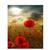 Red Flower Field-DIY Painting By Digital Kit | Decor Gifts and More