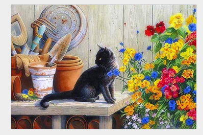 Cat In The Garden - DIY Painting By Numbers Kit | Decor Gifts and More
