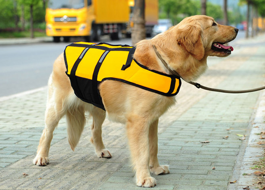 Doggie Life Jacket Vest | Decor Gifts and More
