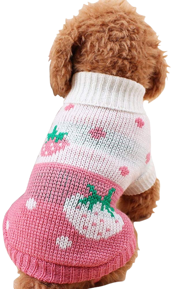 Red Winter Dog Sweater - Home Decor Gifts and More