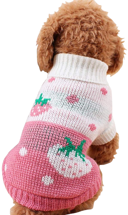 Red Winter Dog Sweater - Home Decor Gifts and More