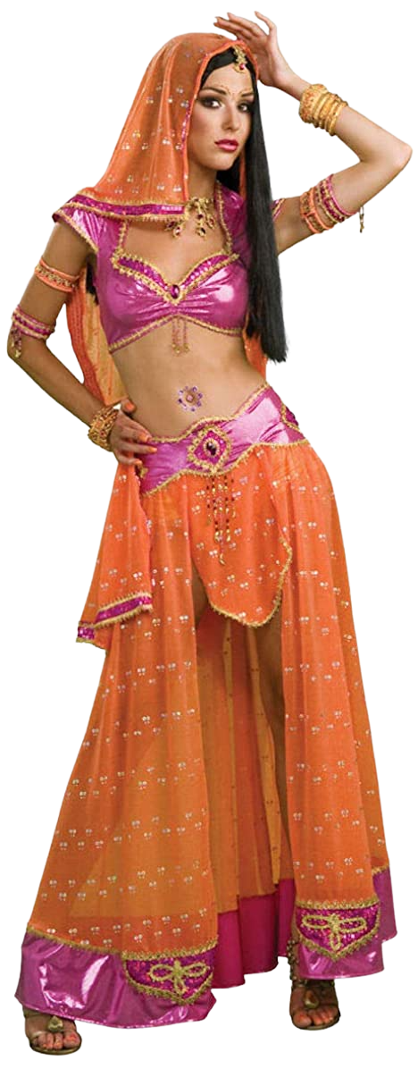 Secret Wishes Sexy Bollywood Dancer Costume | Decor Gifts and More