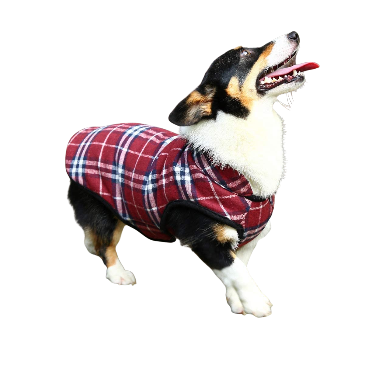 Large Dogs Plaid Fleece Dog Winter Coat - Home Decor Gifts and More