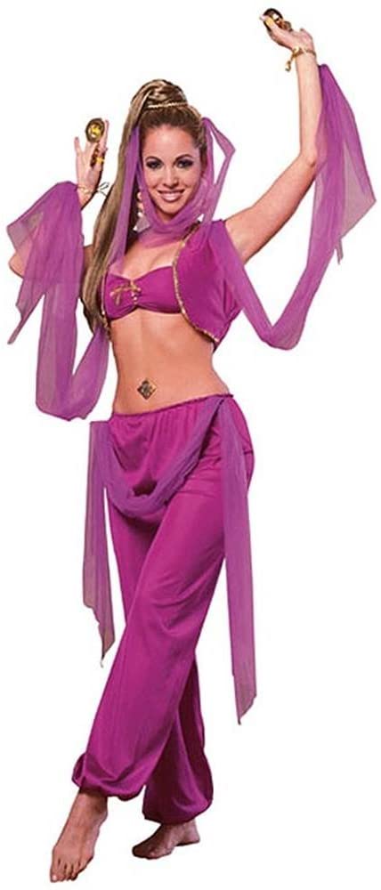 Arabian Princess Adult Costume Set Purple | Decor Gifts and More