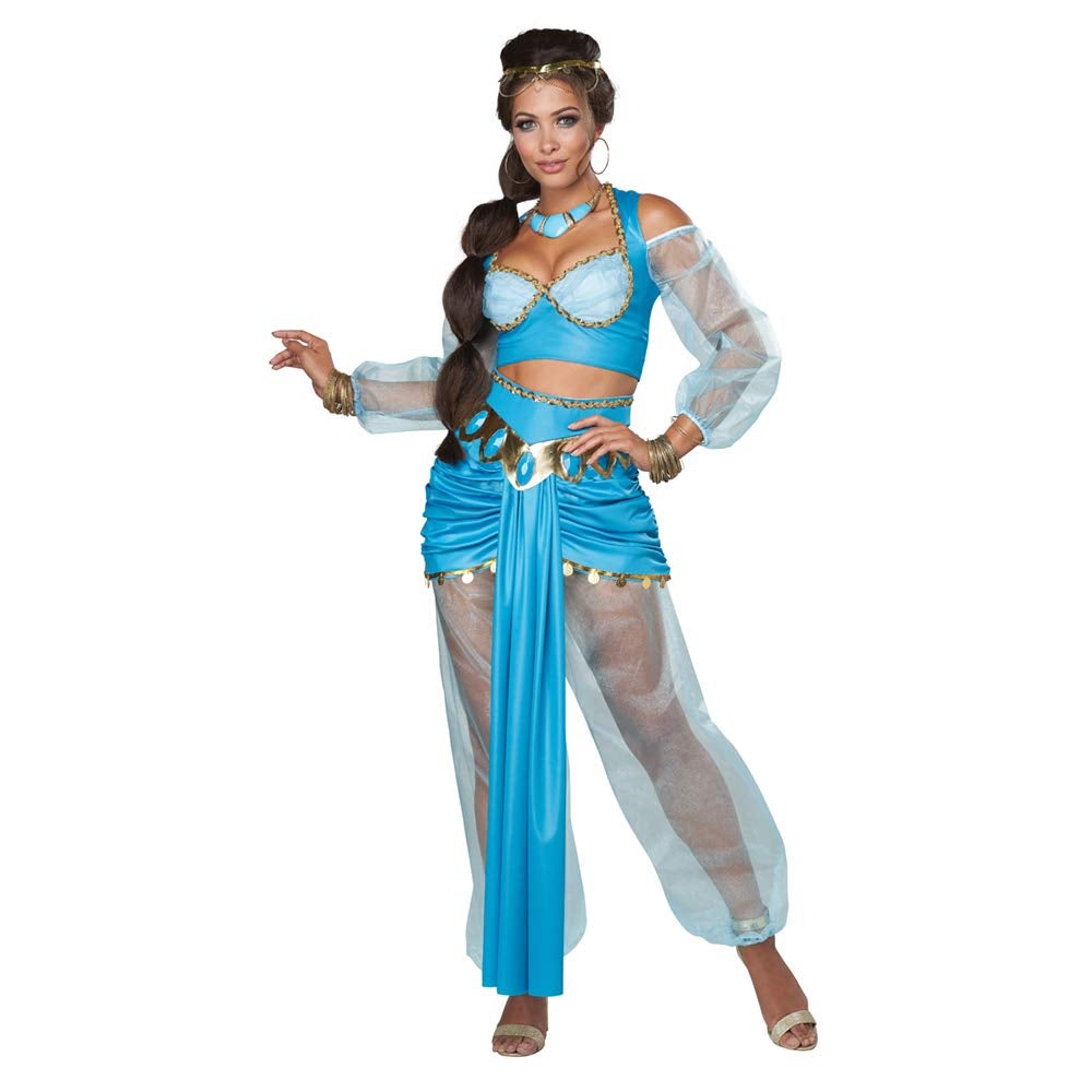 Women's Arabian Folk Hero Adult Costume, Turquoise, Medium | Decor Gifts and More