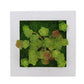 Wall-mounted Simulation Flower Frame Home Decoration Plant Wall | Decor Gifts and More