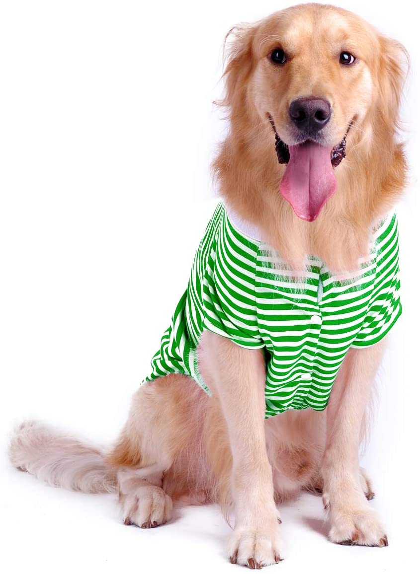 Large Dog Striped  Cotton T Shirt, - Home Decor Gifts and More