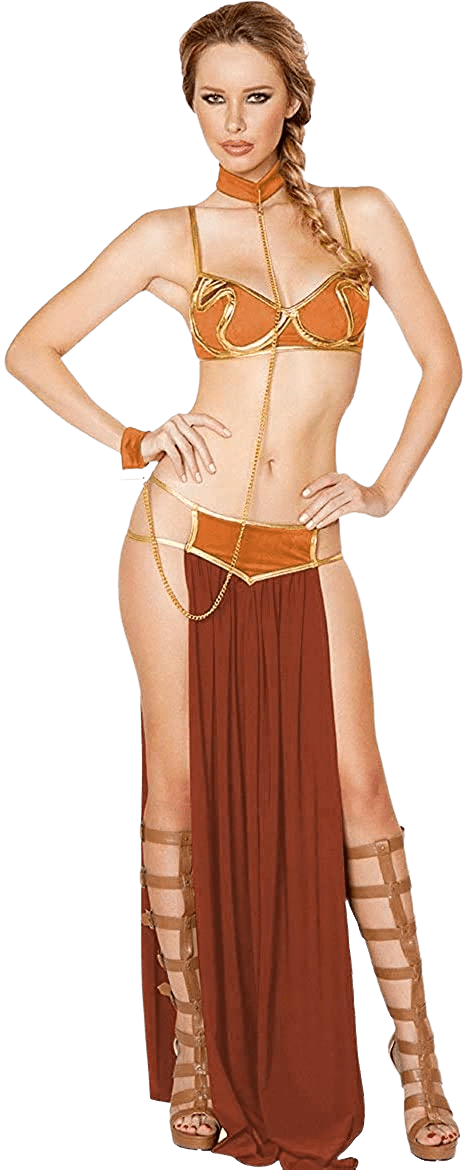 Slave Princess Role Playing Outfit Uniform Clubwear Cosplay | Decor Gifts and More