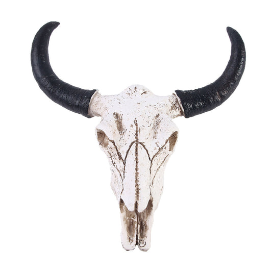 Longhorn Cow Skull Head Wall Decorations Ornament - Home Decor Gifts and More