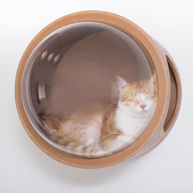 Round Solid Wood Cat Wall Springboard | Decor Gifts and More