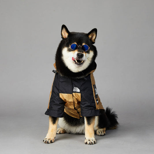 Dog Large Dog Raincoat Pet Jacket | Decor Gifts and More