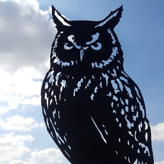 Owl Weather Vane Stainless Steel Spray Paint European Style Wrought Iron Decoration